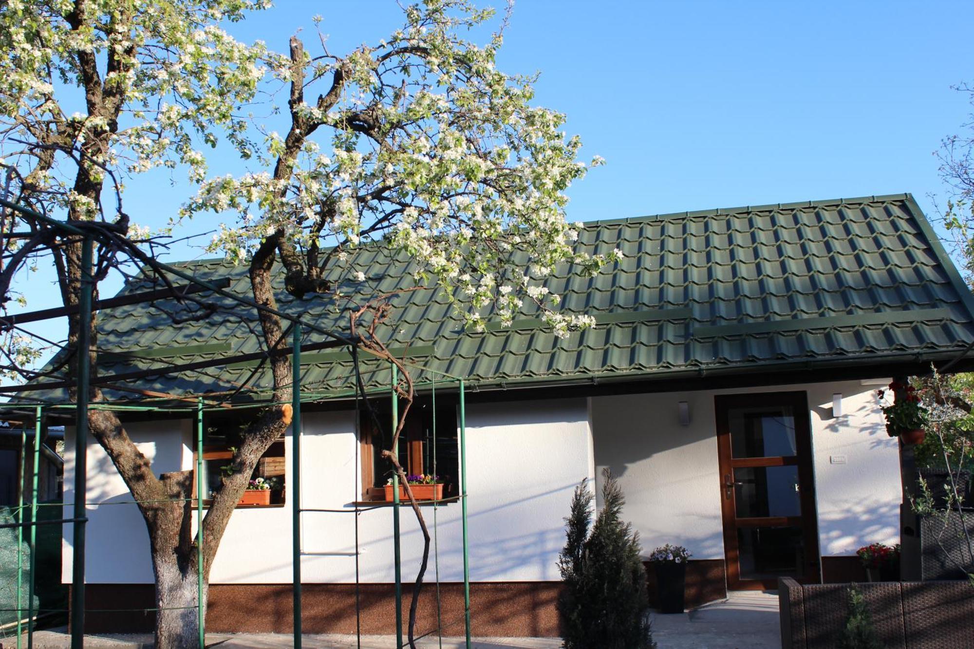 Casuta Artistilor Vila Breaza  Exterior foto