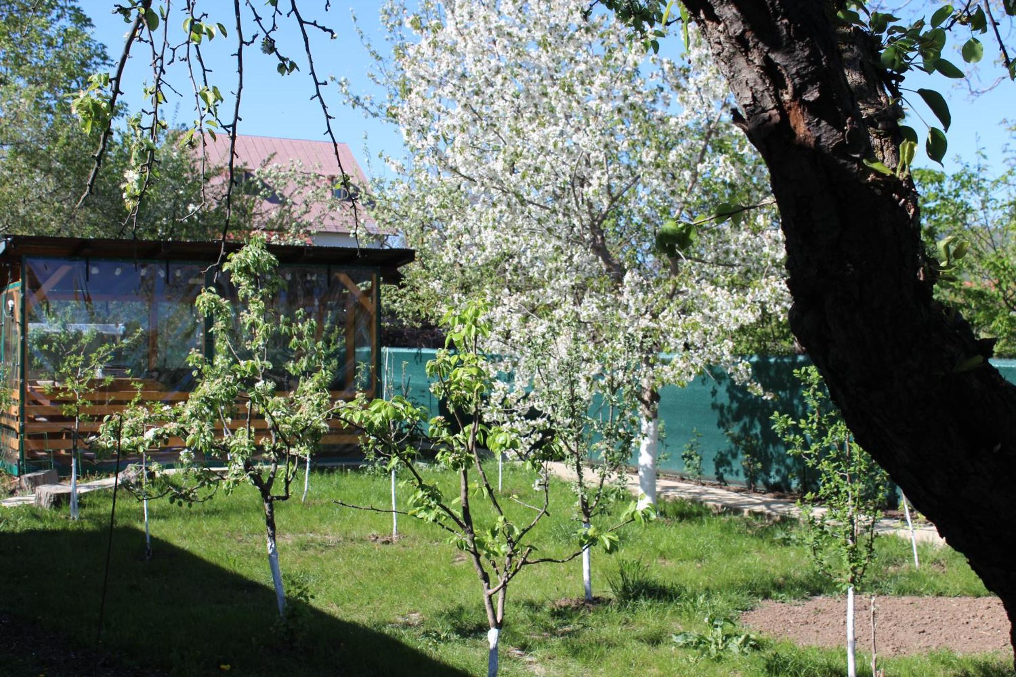 Casuta Artistilor Vila Breaza  Exterior foto