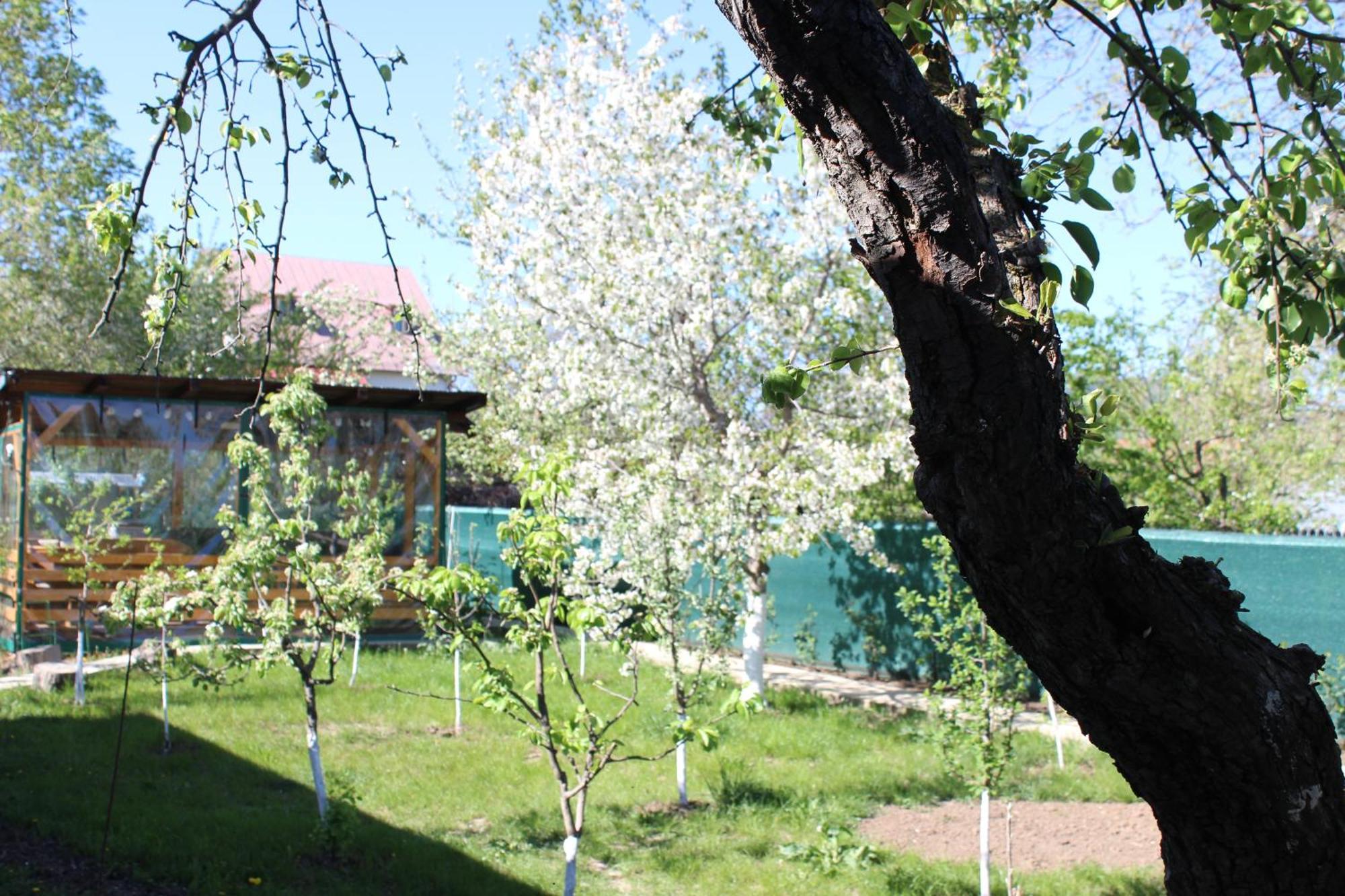 Casuta Artistilor Vila Breaza  Exterior foto