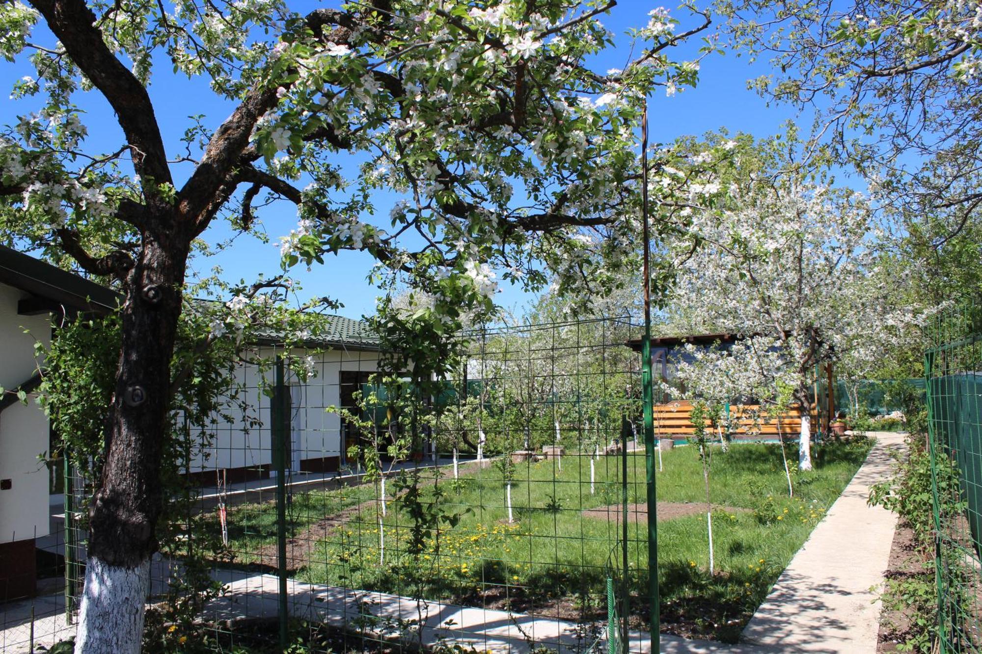 Casuta Artistilor Vila Breaza  Exterior foto